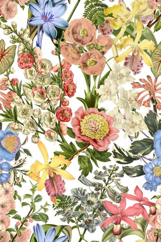 时尚印花华亿平台图片