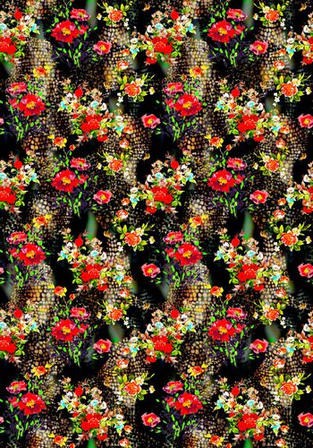 575653-豹纹油画花卉组合华亿平台