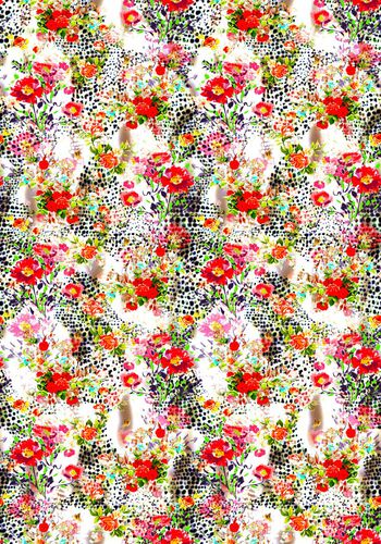 575654-豹纹油画花卉组合华亿平台