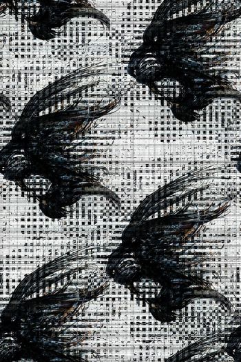 575678-狮子老虎野兽粒子分形艺术几何图形