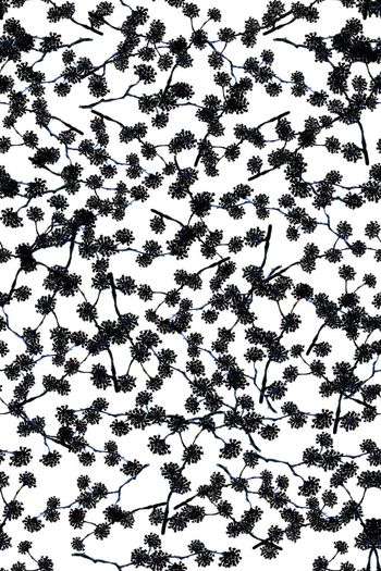 575682-白色小花男装华亿平台小碎花女装唯美