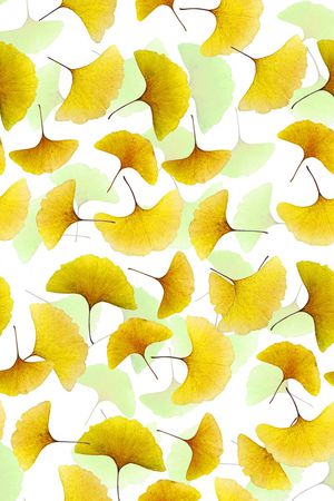 时尚印花华亿平台图片