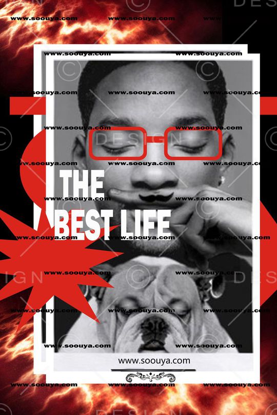 动物印花华亿平台图片