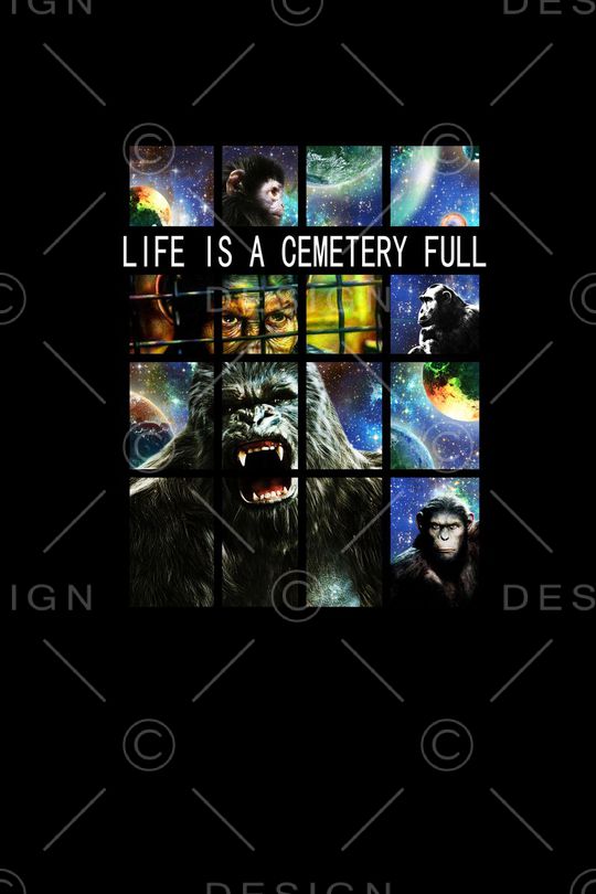 时尚印花华亿平台图片