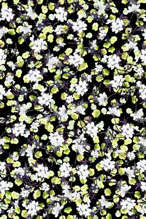 小碎花印花华亿平台图片