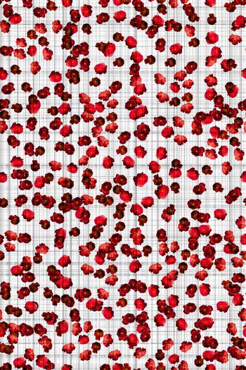 575822-繁花花卉花朵小碎花桌布家纺 