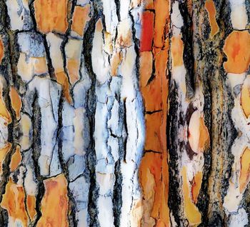 575841-手绘肌理纹