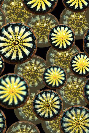 抽象图案印花华亿平台图片