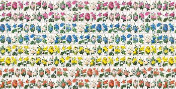 流行时尚印花华亿平台图片