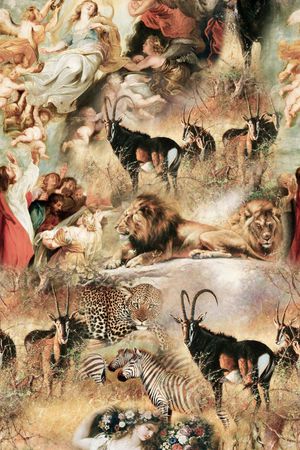 豹子印花华亿平台图片