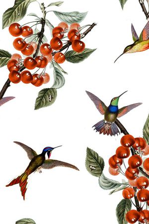 2016印花华亿平台图片