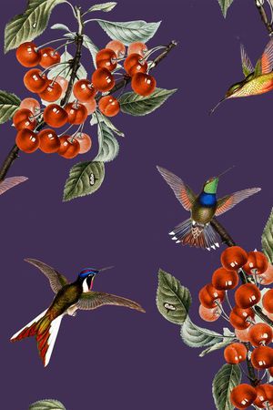 2016印花华亿平台图片