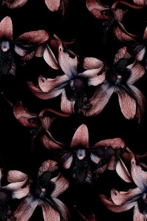 欧美大牌风格印花华亿平台图片