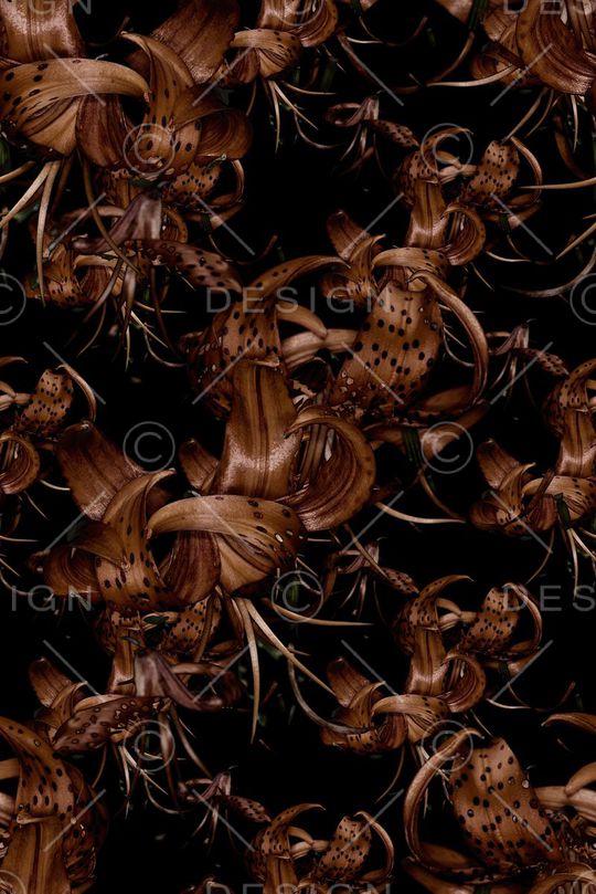 欧美大牌风格印花华亿平台图片