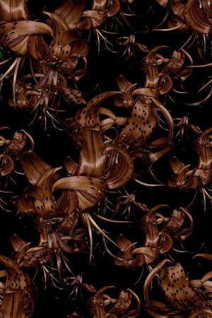 欧美大牌风格印花华亿平台图片