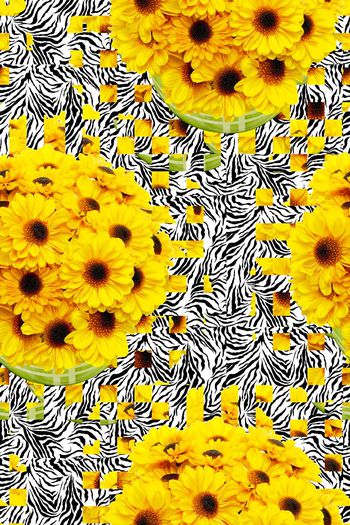 576408-小黄花斑马纹向日葵马赛克花卉花朵桌