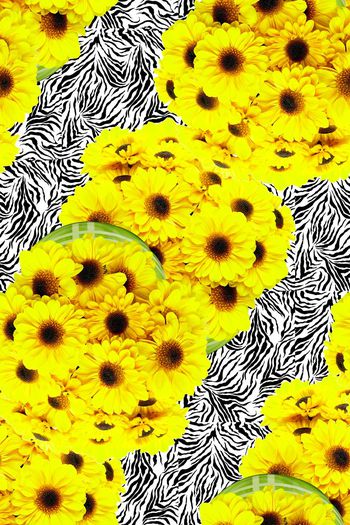 576409-小黄花斑马纹向日葵马赛克花卉花朵桌