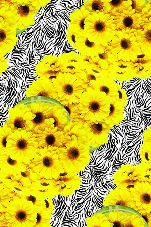 雏菊印花华亿平台图片