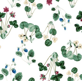 576440-2016 大牌秀场 草莓