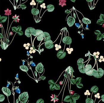 576441-2016 大牌秀场 草莓