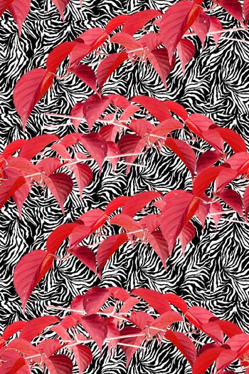 576454-枫叶斑马纹树叶马赛克桌布窗帘沙发布