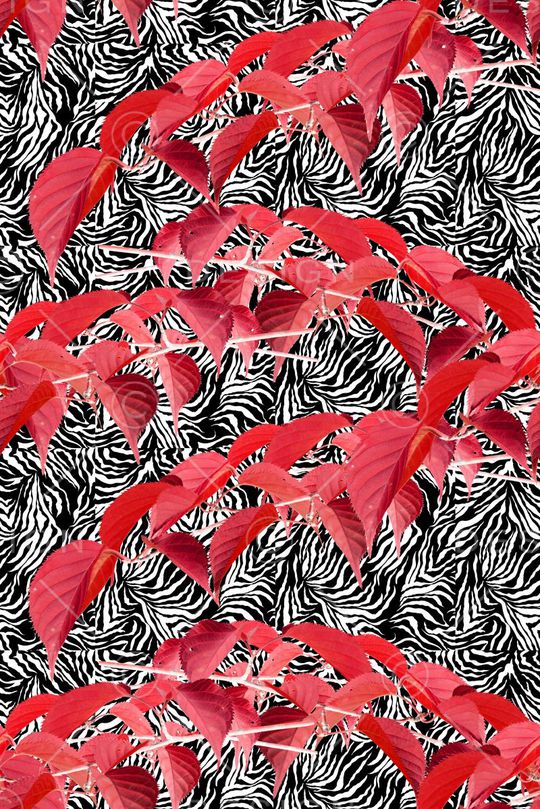 植物印花华亿平台图片