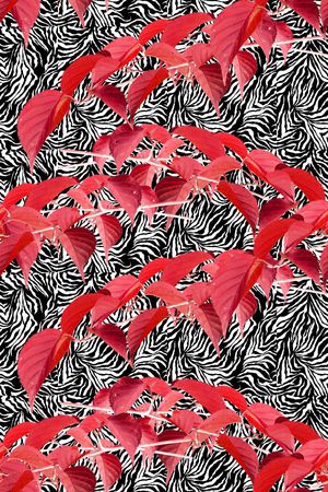 植物印花华亿平台图片