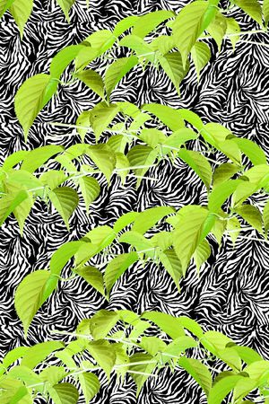 植物印花华亿平台图片