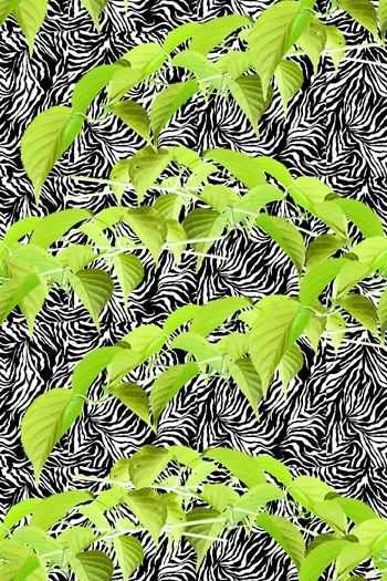 576455-枫叶斑马纹树叶马赛克桌布窗帘沙发布