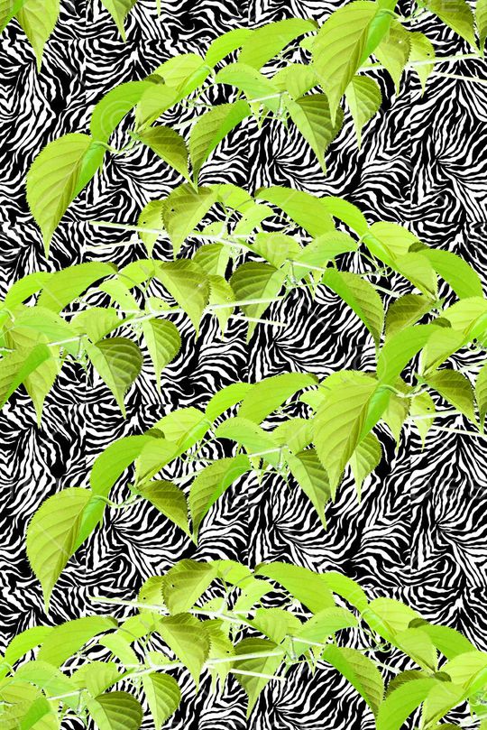 植物印花华亿平台图片