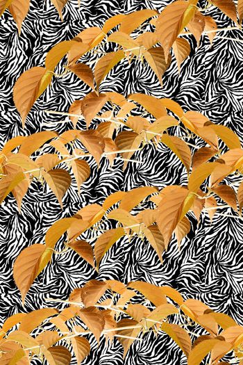 576456-枫叶斑马纹树叶马赛克桌布窗帘沙发布