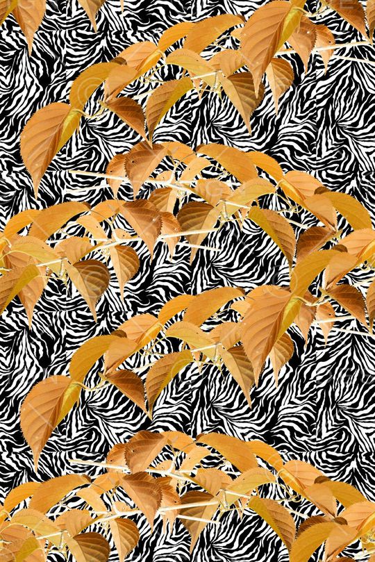 植物印花华亿平台图片