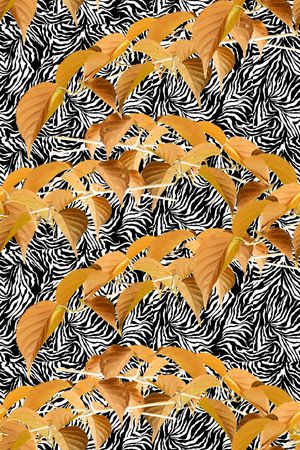 植物印花华亿平台图片