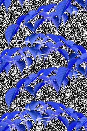 植物印花华亿平台图片