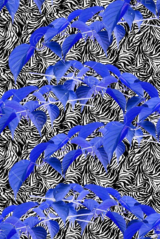 植物印花华亿平台图片