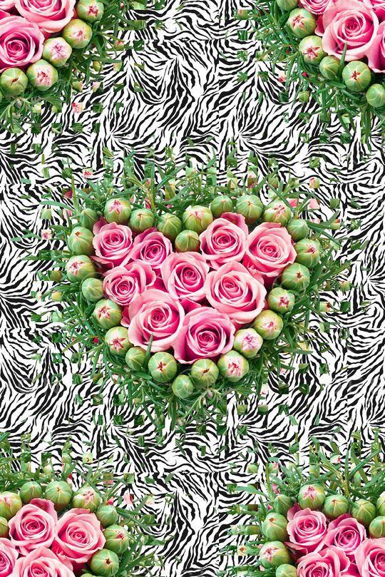 玫瑰印花华亿平台图片