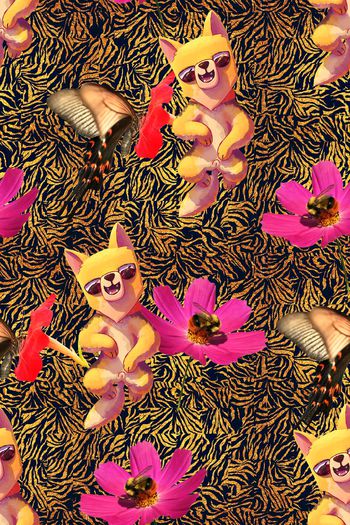 576479-宠物狗花朵蜜蜂蝴蝶斑马纹奢侈品牌大