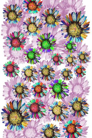 风格花卉印花华亿平台图片