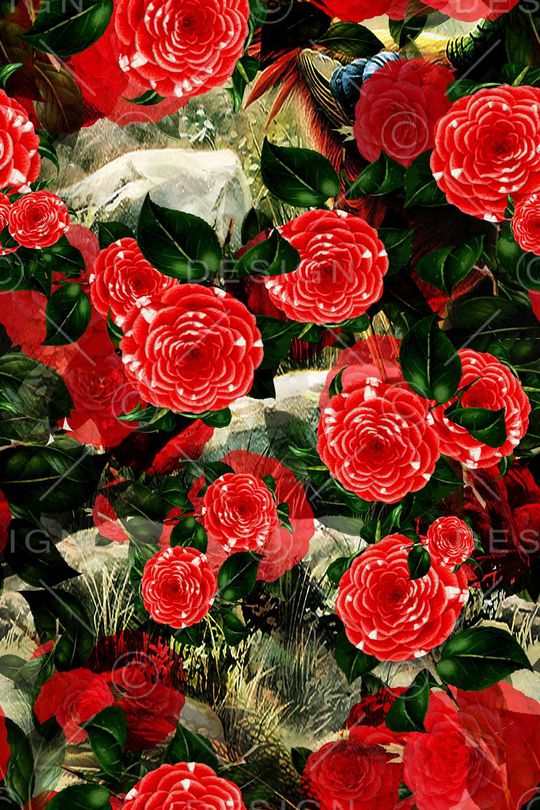 中国风印花华亿平台图片