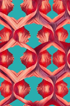 家纺红绸飘带丝绸之路印花华亿平台图片