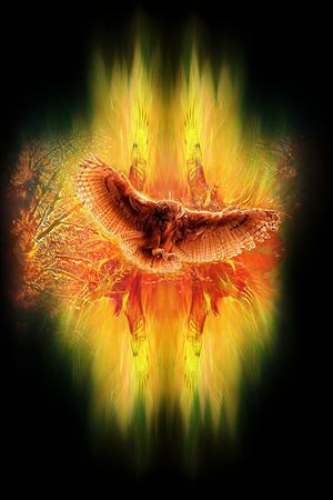 3D立体印花华亿平台图片