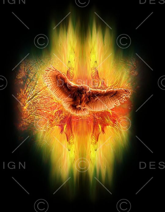 3D立体印花华亿平台图片