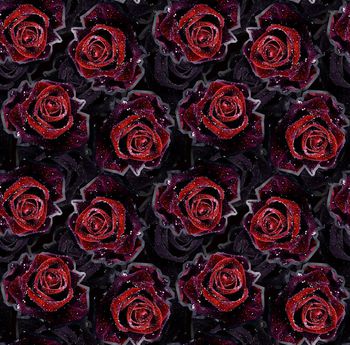 576834-暗夜玫瑰精灵