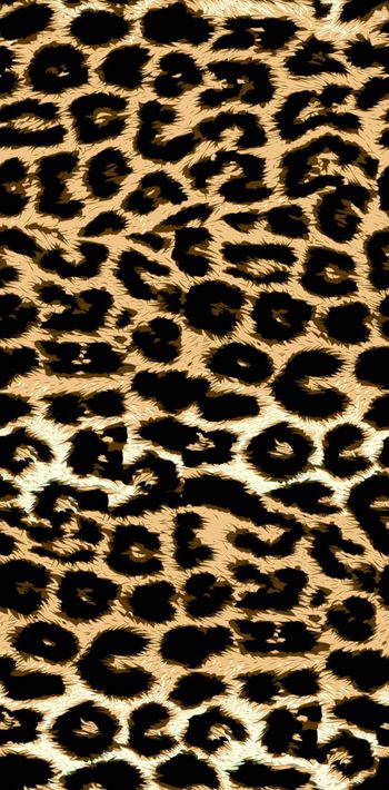 豹纹印花华亿平台图片