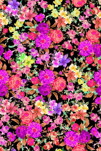 576994-花瓣花朵花卉