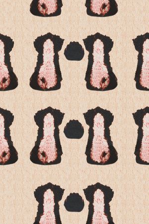 D&G印花华亿平台图片