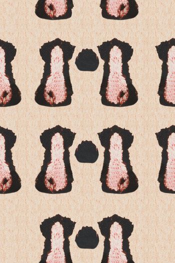 D&G印花华亿平台图片