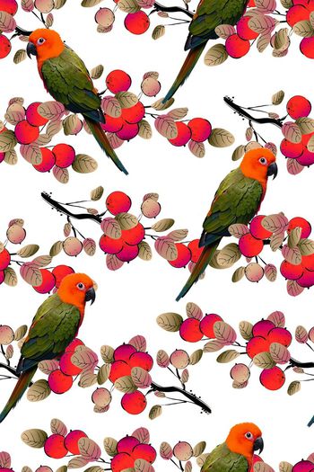 577176-花鸟果实鹦鹉