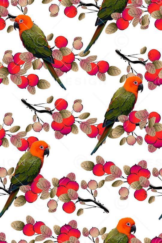 花鸟印花华亿平台图片