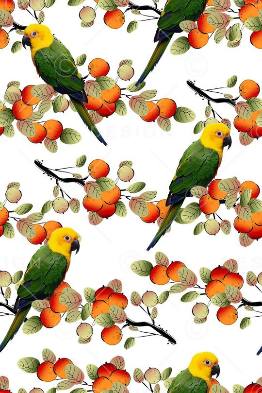 花鸟印花华亿平台图片